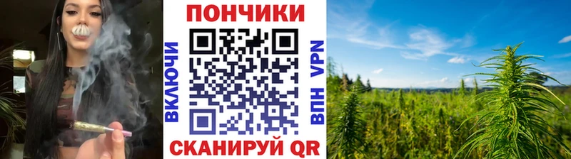 Где можно купить наркотики Инсар ГАШИШ  Марихуана  Alpha-PVP  Меф 