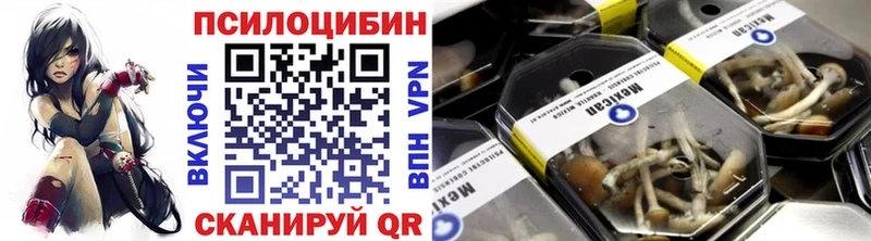 гидра зеркало  где купить наркоту  Инсар  Псилоцибиновые грибы Psilocybe 